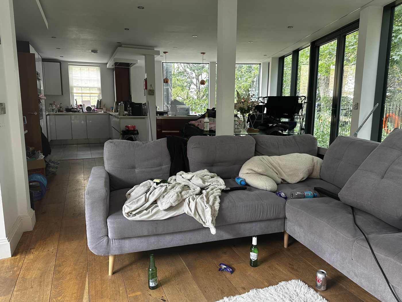Living room before professional cleaning